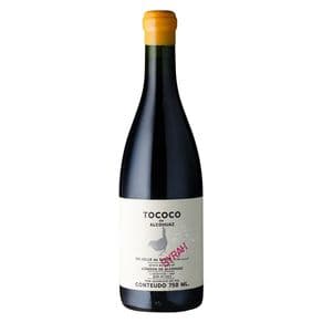 Viñedos de Alcohuaz Syrah Tococo 2021