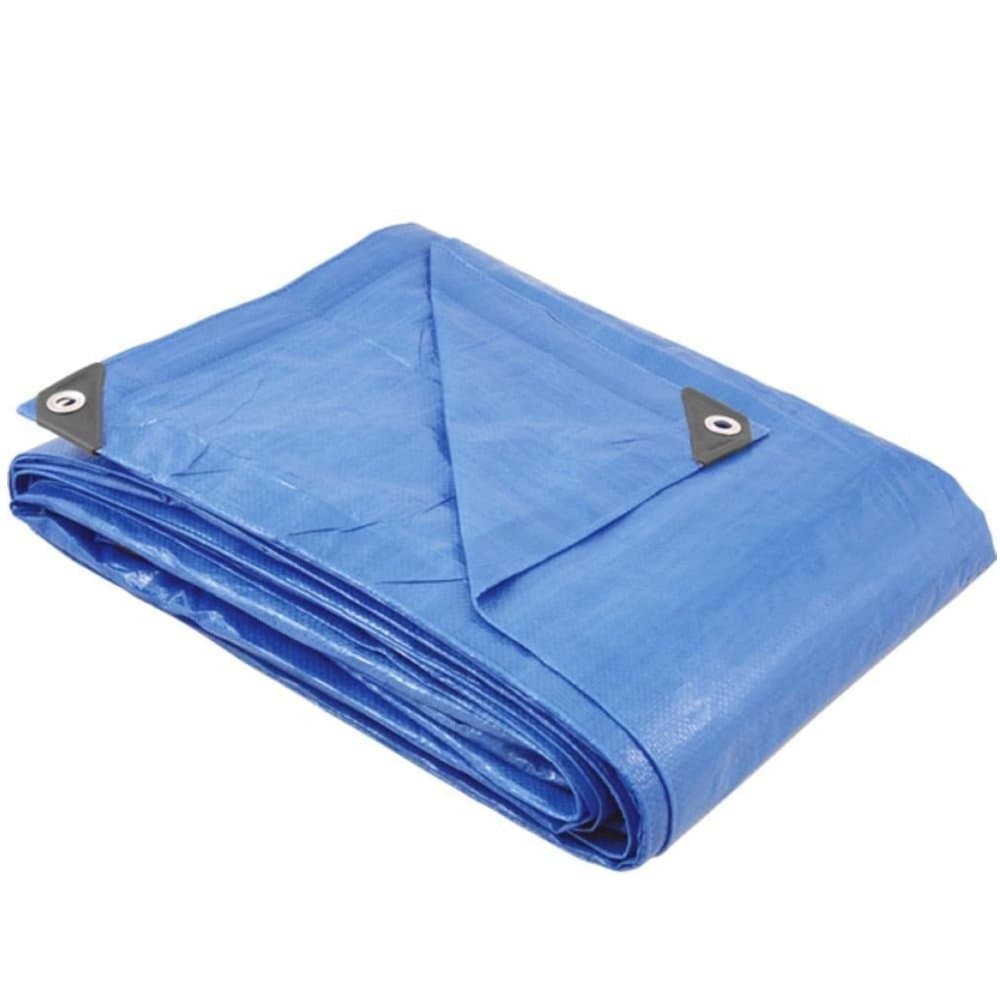 Lona de Polietileno Azul 100 Micras 6 x 10m REXON-APM7020023