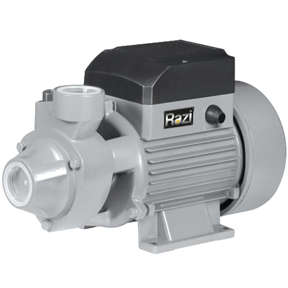 Bomba Periferica 12 CV 2100L 220V RAZI-BP12