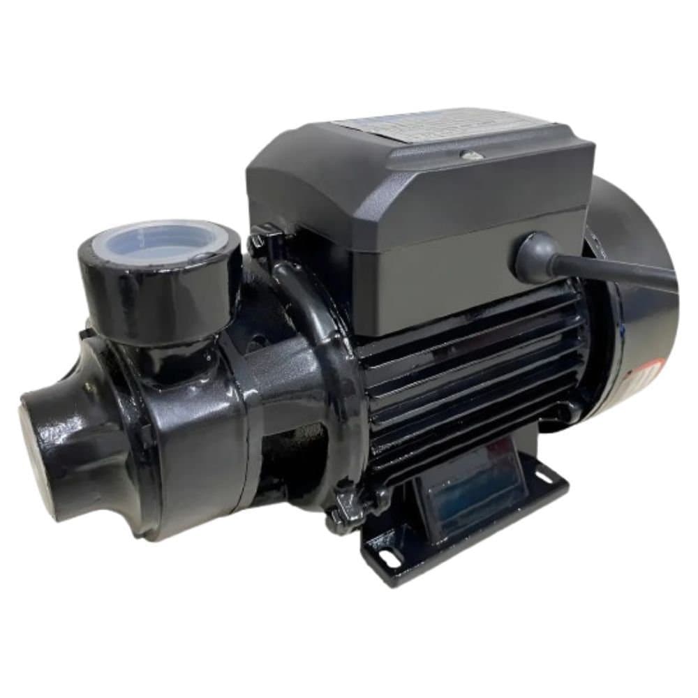 Motobomba Periferica 1CV 127220V 60HZ Bivolt EP-100B ELETROPLAS-000447500